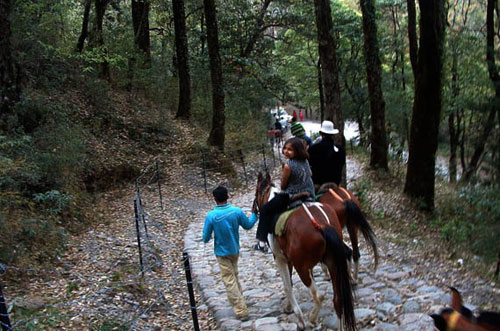 Horse Riding