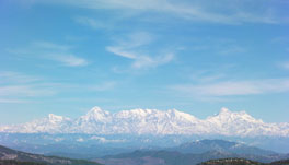 Trinetra Orchid - Mountain View From Trinetra