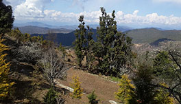 Trinetra Orchards - nature view