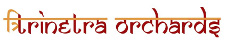 Trinetra Orchid - logo